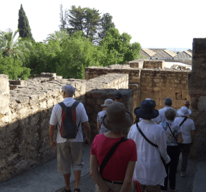 4a1315_f59597ba585d4ec6aa83b8d59df737b0